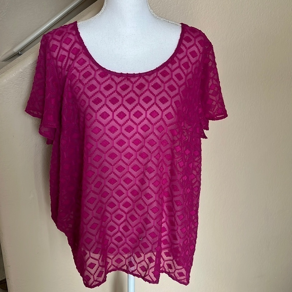 Torrid sheer blouse